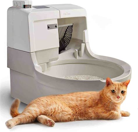 best automatic litter box|The Best Self.